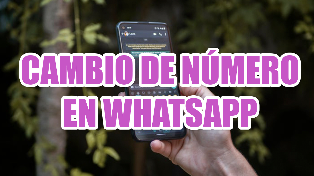 Descubre Cómo Avisar A Tus Contactos De Whatsapp Que Has Cambiado De Número 9181